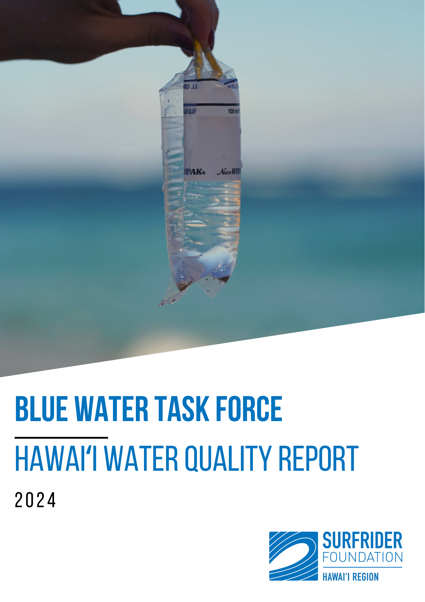 2024 HAWAII BWTF Report.pdf
