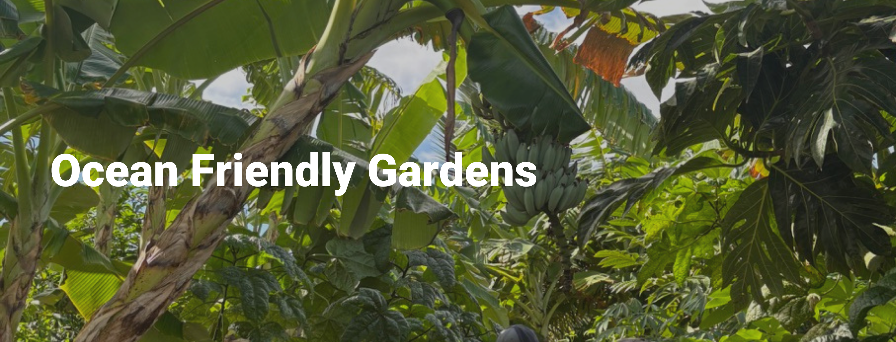 Copy of Hubspot Blog Hero Image (13)-1