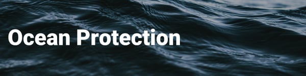 Coast and Climate (4)