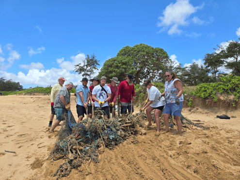 Net Patrol June 20252