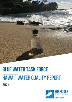 2024 HAWAII BWTF Report.pdf
