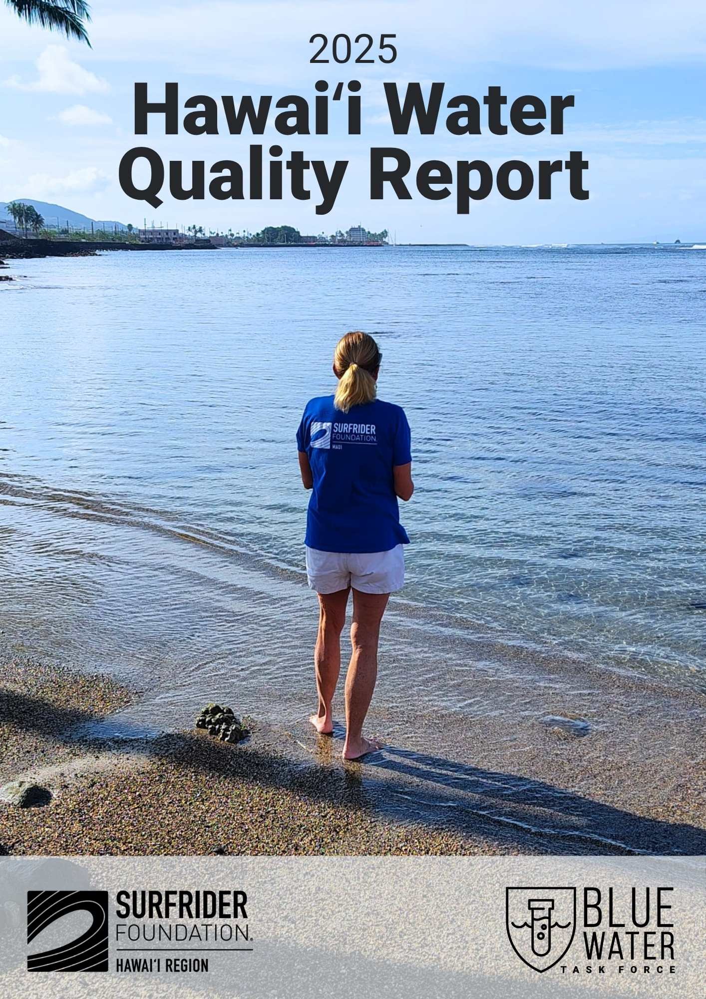 2025 HAWAII BWTF Report cover